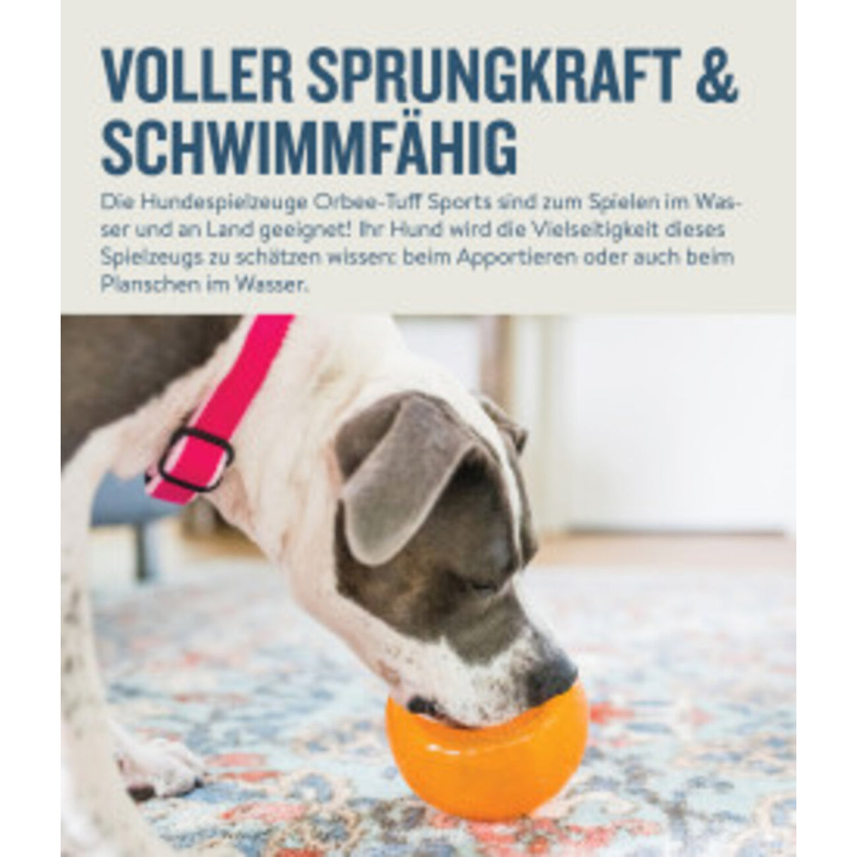 Orbee-Tuff Snoop Ø ca. 12,5 cm Interaktives Snackspielzeug – ORANGE