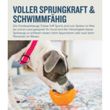 Orbee-Tuff Snoop Ø ca. 12,5 cm Interaktives Snackspielzeug – ORANGE