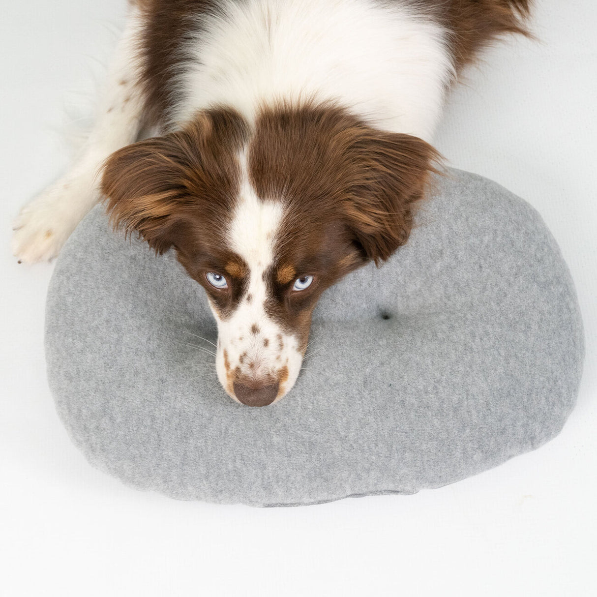 Kopfkissen für Hundebett