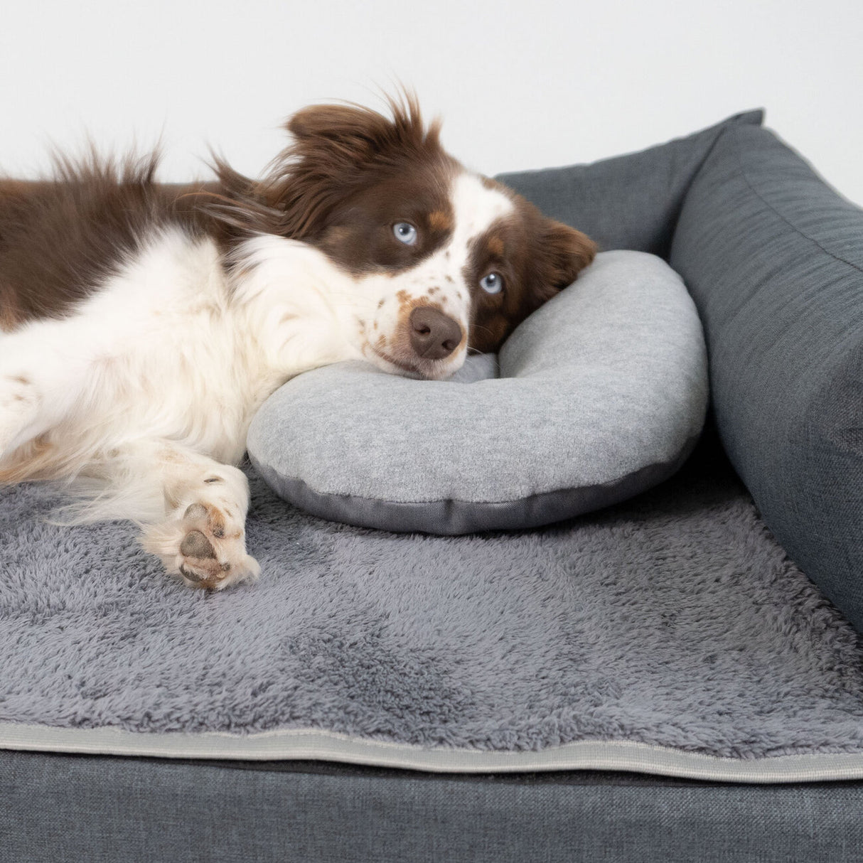 Kopfkissen für Hundebett