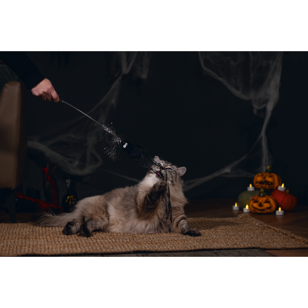 Halloween Katzenangel Freaky – 40 cm