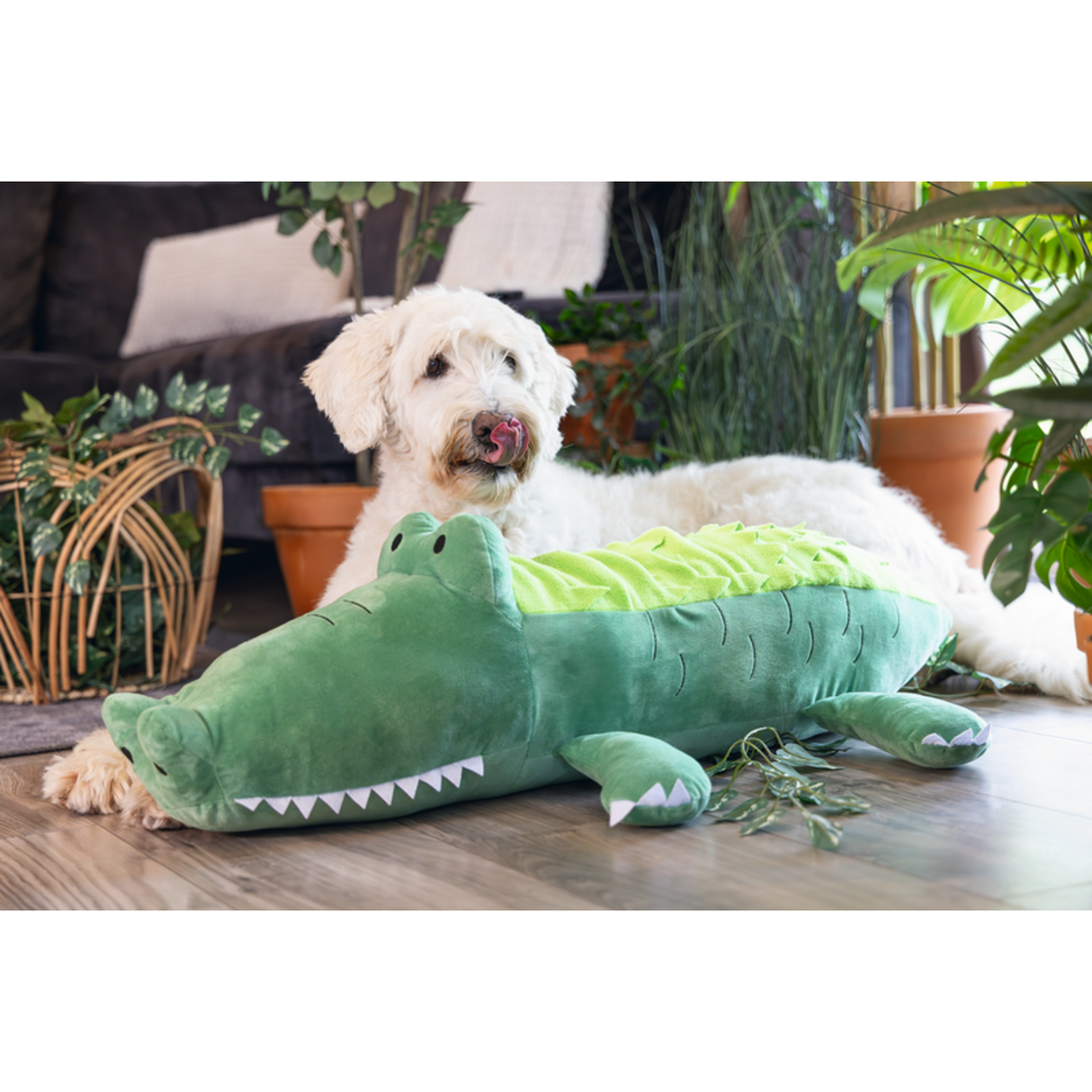 Plüsch Hundespielzeug Dschungel Hide n Seek Krokodil – 84x54x22,5 cm