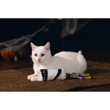 Halloween Mumie Spielzeug für Katzen – 35x7x3,5 cm