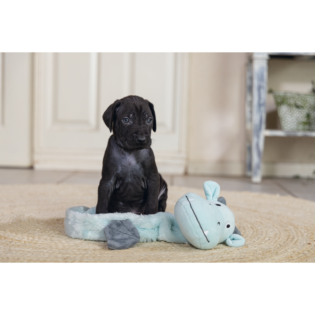 Puppy Welpen Spielzeug Flatino Drache Yi – 46x23x9,5 cm