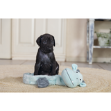 Puppy Welpen Spielzeug Flatino Drache Yi – 46x23x9,5 cm