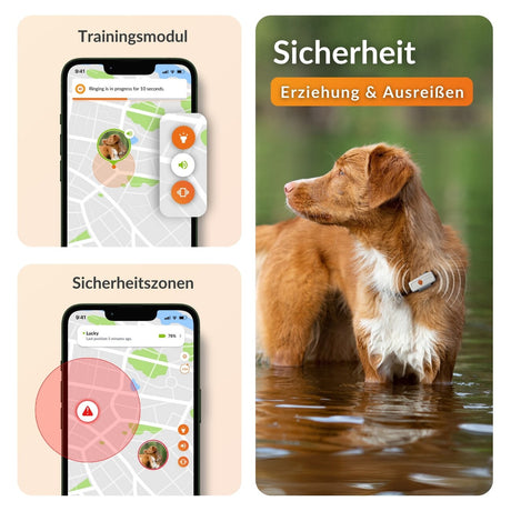 XS GPS Tracker für Hunde mit Lebenslanger Garantie