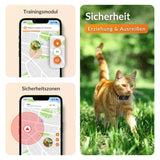 XS GPS Tracker für Katzen mit Lebenslanger Garantie