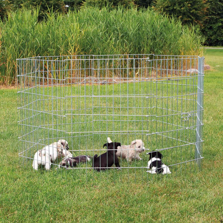 Welpengehege Freigehege für Welpen, Welpenauslauf, Hundefreilauf