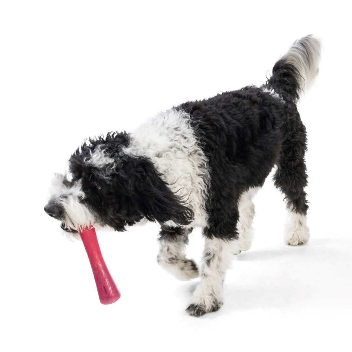 Hundespielzeug Seaflex Drifty