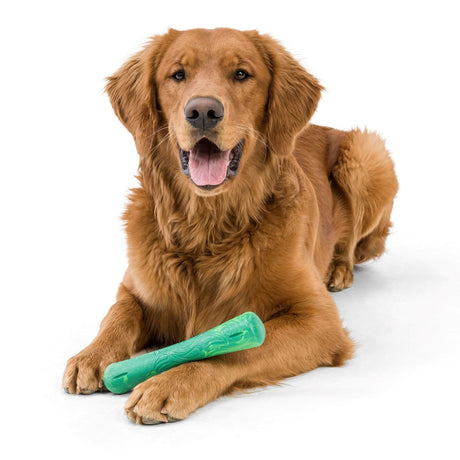 Hundespielzeug Seaflex Drifty