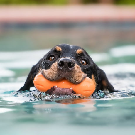 Rumpus Hundespielzeug