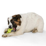 Rumpus Hundespielzeug