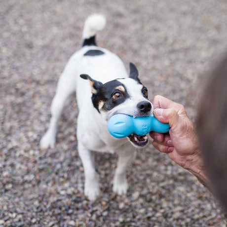 Rumpus Hundespielzeug