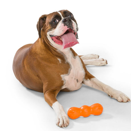 Rumpus Hundespielzeug
