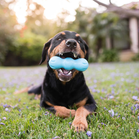 Rumpus Hundespielzeug