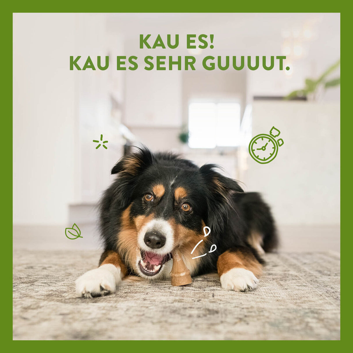 vegetarischer Hundesnack in Geweihform