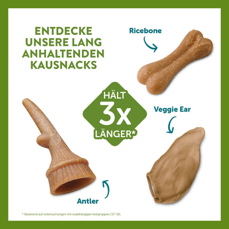 vegetarischer Hundesnack in Geweihform