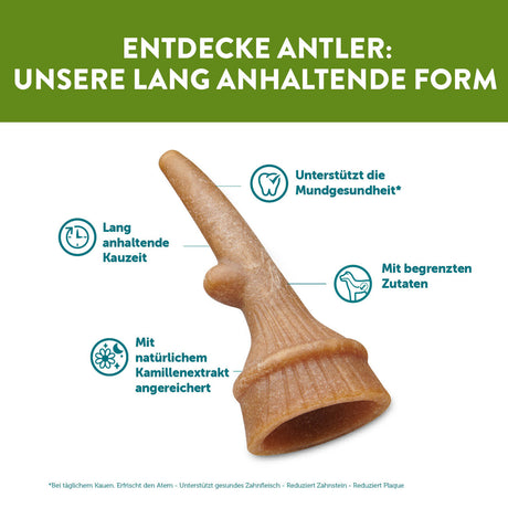 vegetarischer Hundesnack in Geweihform