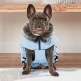 Winterjacke Amundsen für Mops&Co.