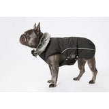 Winterjacke Amundsen für Mops&Co.