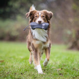 Adventure Dummy für Hunde