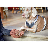 Cleankeeper Dry Glove Pflegehandschuh