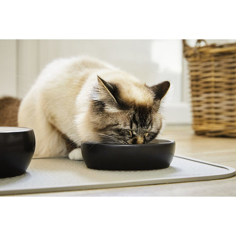Wolters Diner Colour Katzennapf
