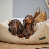 Dreamwell Heaven Hundebett