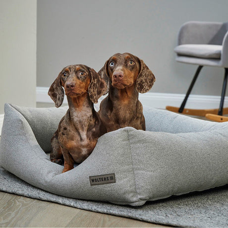 Dreamwell Hero Hundebett