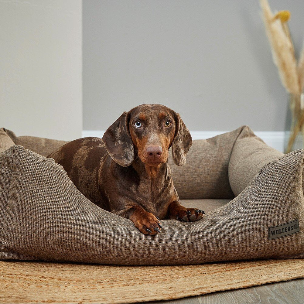 Dreamwell Hope Hundebett