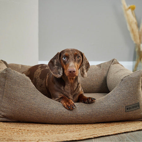 Dreamwell Hope Hundebett