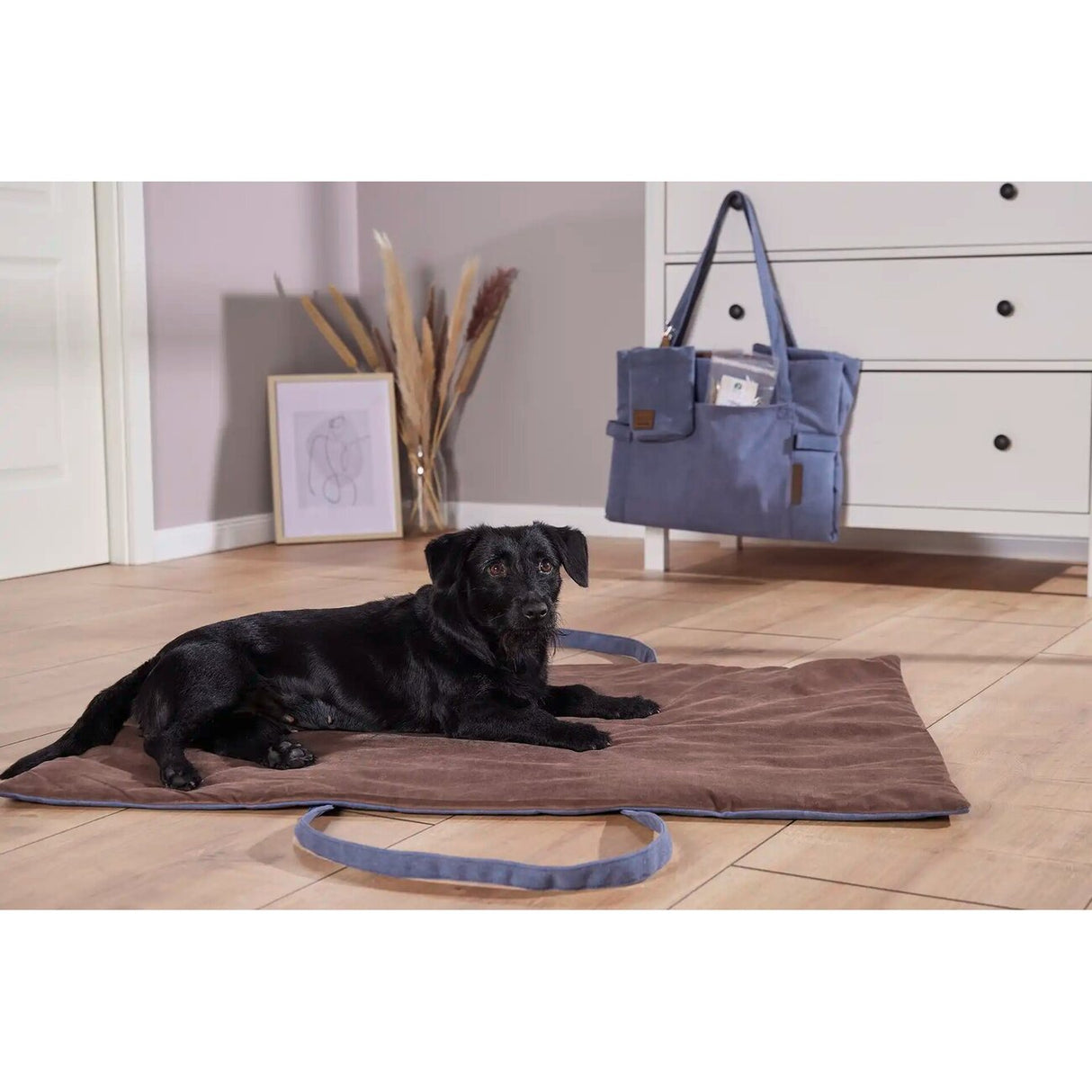 Easy Travel Hunde Reisedecke in Taschenform