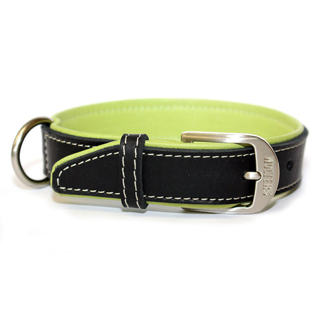 Wolters Halsband Terranova Fettleder