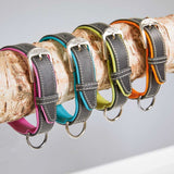 Wolters Halsband Terranova Fettleder