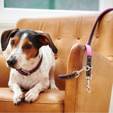 Wolters Halsband Terranova Fettleder