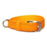 Wolters Halsband Terravita Leder flach