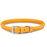 Wolters Halsband Terravita Leder rund