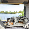 Hunde Reisedecke Vagabund