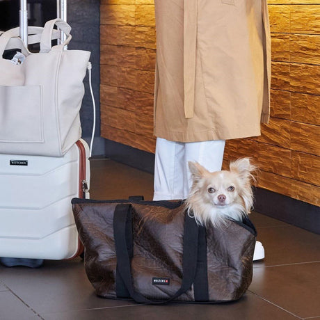 Wolters Hunde Tragetasche Softbag Senator