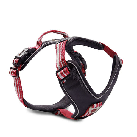 Hundegeschirr Active Pro