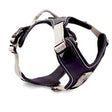 Hundegeschirr Active Pro