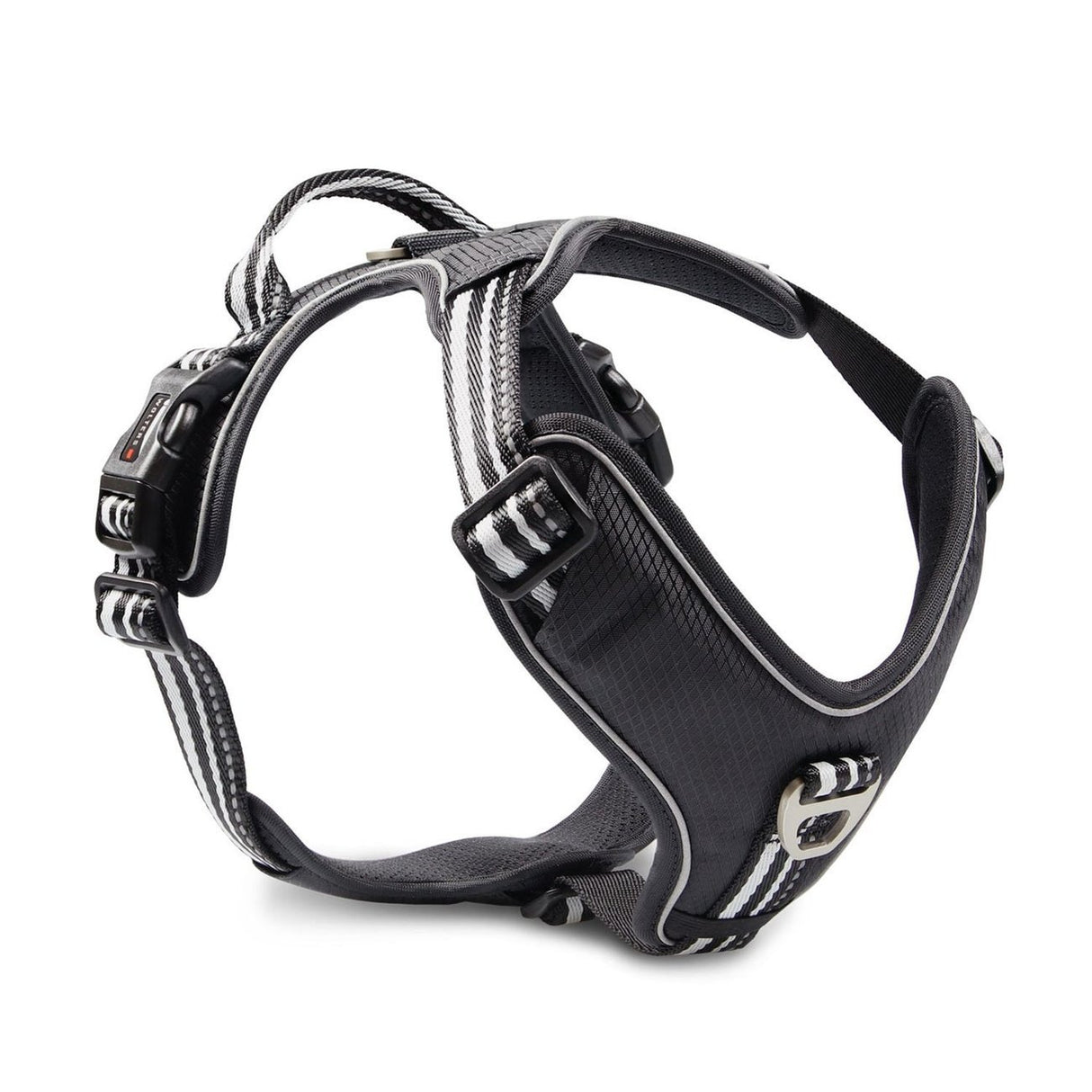 Hundegeschirr Active Pro