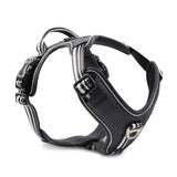 Hundegeschirr Active Pro