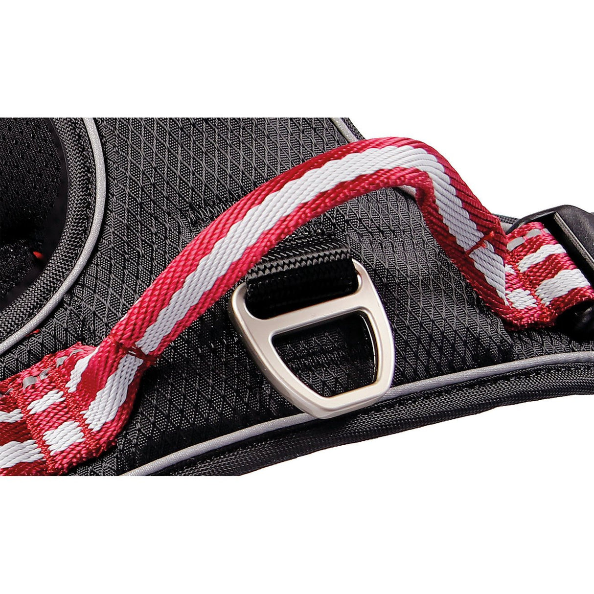 Hundegeschirr Active Pro