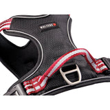 Hundegeschirr Active Pro