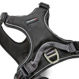 Hundegeschirr Active Pro Comfort
