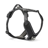 Hundegeschirr Active Pro Comfort