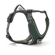 Hundegeschirr Active Pro Comfort