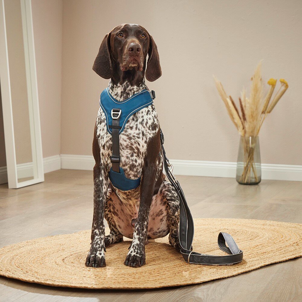 Hundegeschirr Active Pro Comfort
