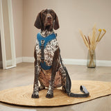 Hundegeschirr Active Pro Comfort
